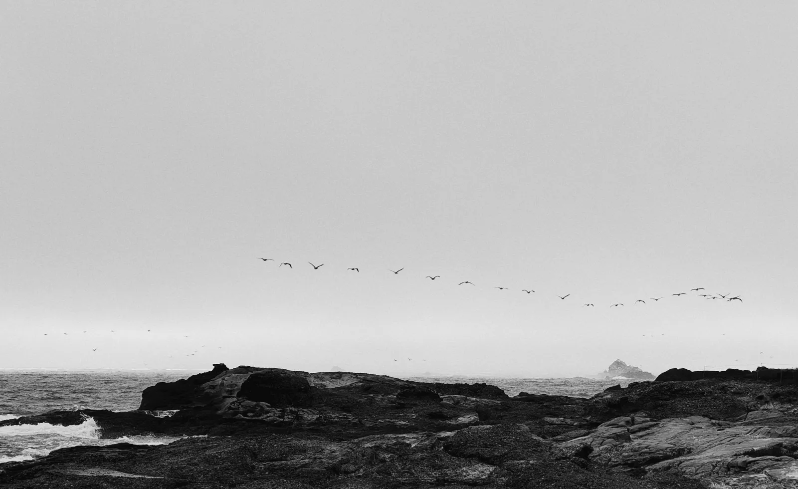 Dark rocks and birds under a pale sky