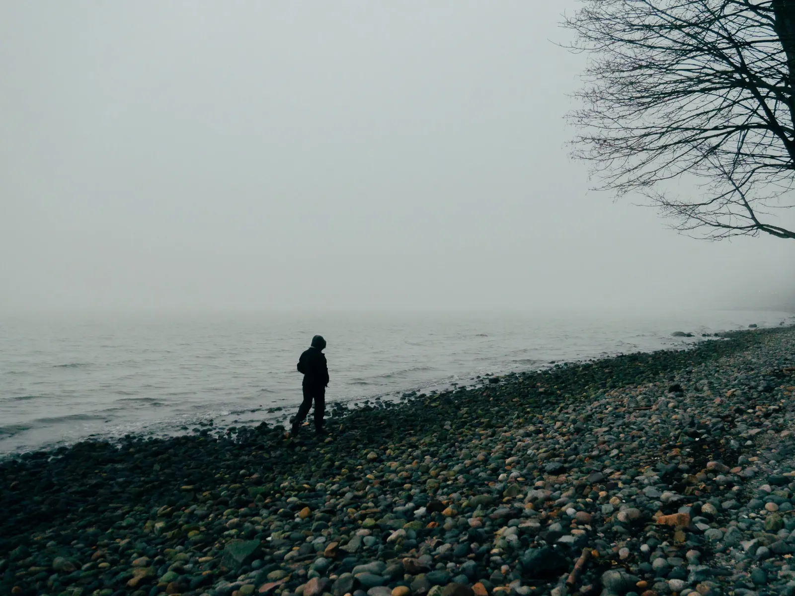 A lone figure walking along a foggy pebble shore